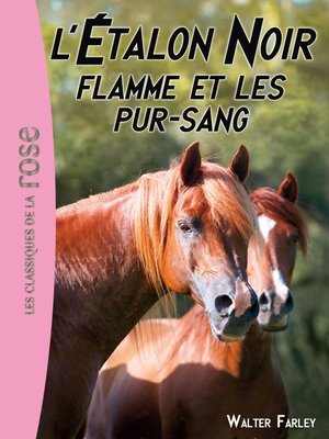 cover image of L'Étalon Noir 11--Flamme et les pur-sang